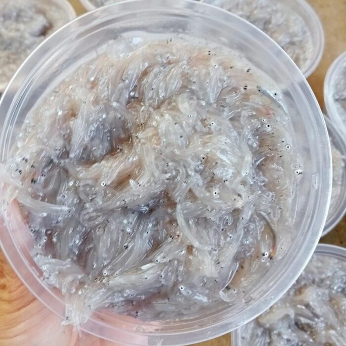 NguyenKhoiFood cá cơm ngần - 2